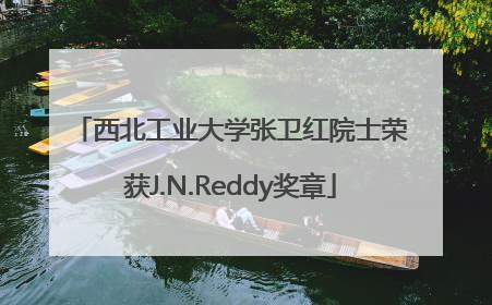西北工业大学张卫红院士荣获J.N.Reddy奖章