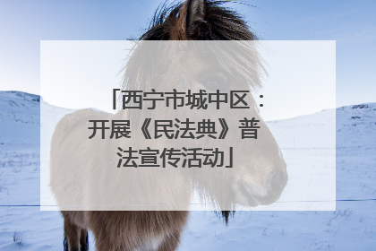 西宁市城中区：开展《民法典》普法宣传活动