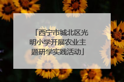 西宁市城北区光明小学开展农业主题研学实践活动
