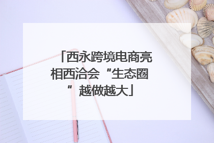 西永跨境电商亮相西洽会“生态圈”越做越大