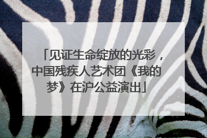 见证生命绽放的光彩，中国残疾人艺术团《我的梦》在沪公益演出