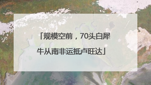 规模空前，70头白犀牛从南非运抵卢旺达