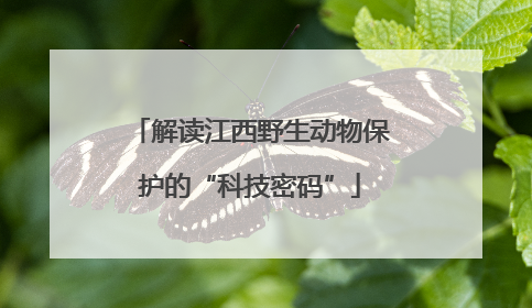 解读江西野生动物保护的“科技密码”