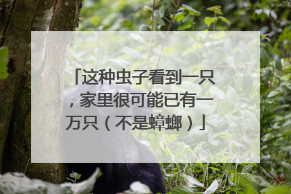 这种虫子看到一只，家里很可能已有一万只（不是蟑螂）