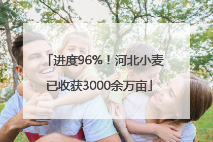 进度96%！河北小麦已收获3000余万亩
