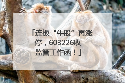 连板“牛股”再涨停，603226收监管工作函！