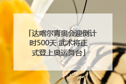 达喀尔青奥会迎倒计时500天 武术将正式登上奥运舞台