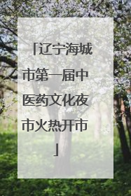 辽宁海城市第一届中医药文化夜市火热开市