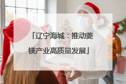 辽宁海城：推动菱镁产业高质量发展