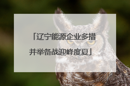辽宁能源企业多措并举备战迎峰度夏