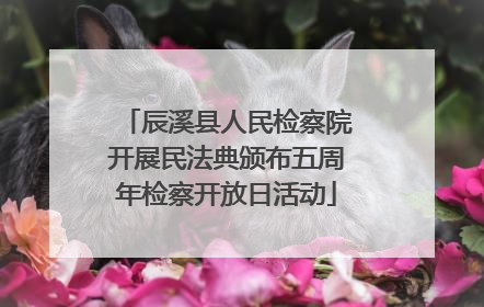 辰溪县人民检察院开展民法典颁布五周年检察开放日活动