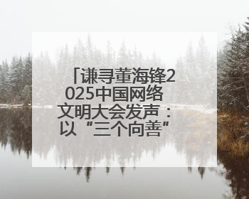 谦寻董海锋2025中国网络文明大会发声：以“三个向善”构建直播电商善意长河