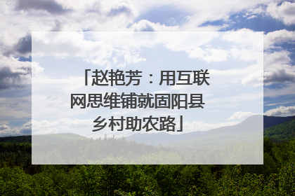 赵艳芳：用互联网思维铺就固阳县乡村助农路