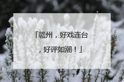 赣州，好戏连台，好评如潮！