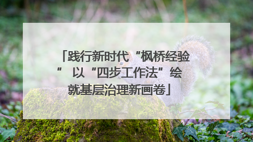 践行新时代“枫桥经验” 以“四步工作法”绘就基层治理新画卷