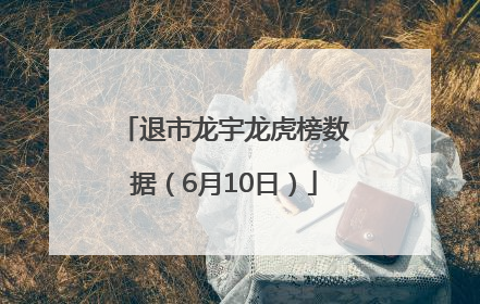 退市龙宇龙虎榜数据（6月10日）