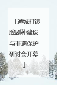 通城打锣腔剧种建设与非遗保护研讨会开幕