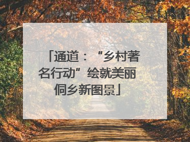 通道：“乡村著名行动”绘就美丽侗乡新图景