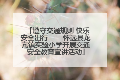 遵守交通规则 快乐安全出行——怀远县龙亢镇实验小学开展交通安全教育宣讲活动