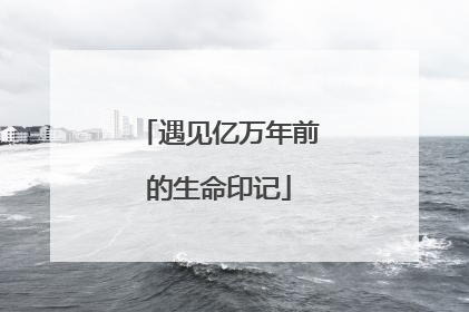 遇见亿万年前的生命印记