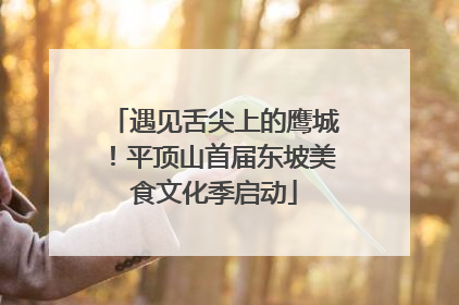 遇见舌尖上的鹰城！平顶山首届东坡美食文化季启动