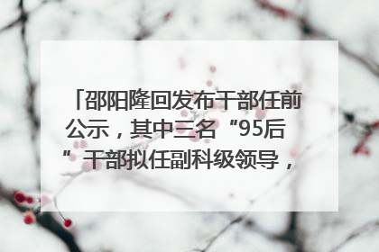 邵阳隆回发布干部任前公示，其中三名“95后”干部拟任副科级领导，均系硕士选调生