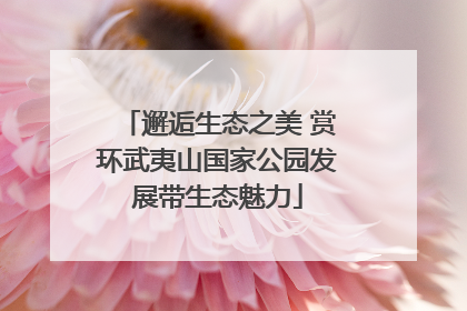 邂逅生态之美 赏环武夷山国家公园发展带生态魅力