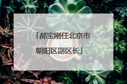 郝宝刚任北京市朝阳区副区长