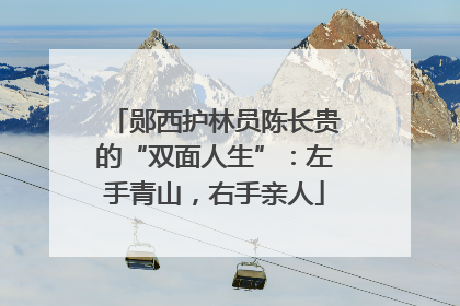 郧西护林员陈长贵的“双面人生”：左手青山，右手亲人