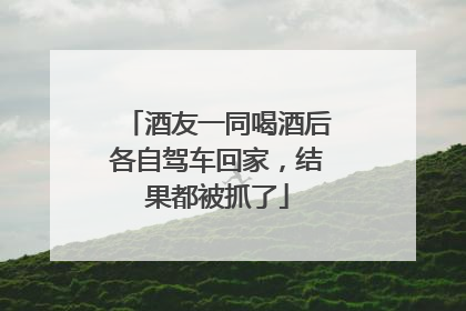 酒友一同喝酒后各自驾车回家，结果都被抓了