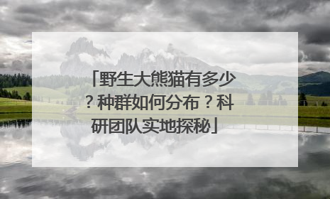 野生大熊猫有多少？种群如何分布？科研团队实地探秘