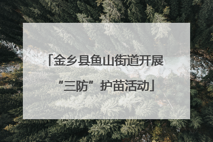 金乡县鱼山街道开展“三防”护苗活动