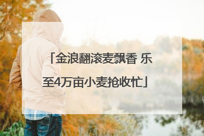 金浪翻滚麦飘香 乐至4万亩小麦抢收忙