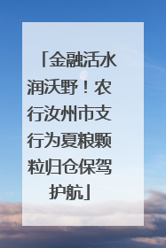 金融活水润沃野！农行汝州市支行为夏粮颗粒归仓保驾护航