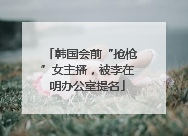 韩国会前“抢枪”女主播，被李在明办公室提名