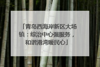 青岛西海岸新区大场镇：综治中心强服务，和谐港湾暖民心