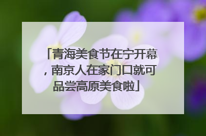 青海美食节在宁开幕，南京人在家门口就可品尝高原美食啦