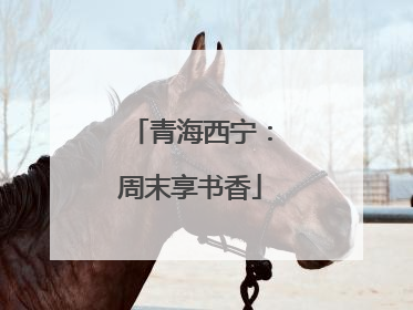 青海西宁：周末享书香