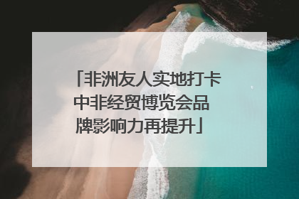 非洲友人实地打卡 中非经贸博览会品牌影响力再提升