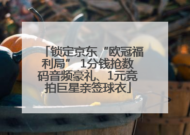 锁定京东“欧冠福利局” 1分钱抢数码音频豪礼、1元竞拍巨星亲签球衣