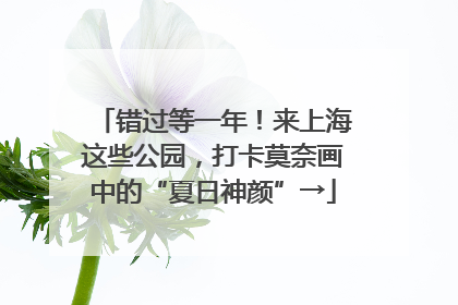 错过等一年！来上海这些公园，打卡莫奈画中的“夏日神颜”→