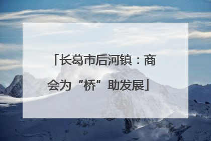 长葛市后河镇：商会为“桥”助发展