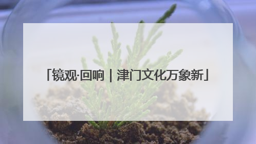 镜观·回响｜津门文化万象新