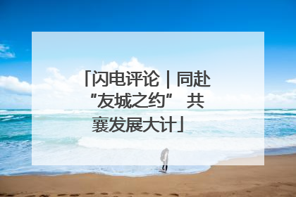 闪电评论｜同赴“友城之约” 共襄发展大计
