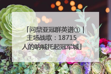 问鼎亚冠群英谱①｜主场战歌：18715人的呐喊托起冠军城
