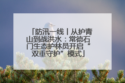 防汛一线丨从护青山到战洪水：常德石门生态护林员开启“双重守护”模式