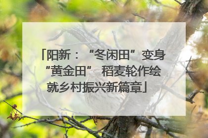 阳新：“冬闲田”变身“黄金田” 稻麦轮作绘就乡村振兴新篇章