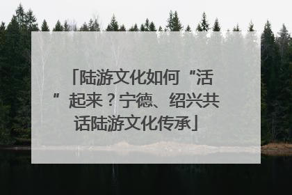 陆游文化如何“活 ”起来？宁德、绍兴共话陆游文化传承
