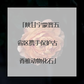 陕甘宁蒙晋五省区携手保护古脊椎动物化石