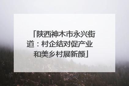 陕西神木市永兴街道：村企结对促产业 和美乡村展新颜